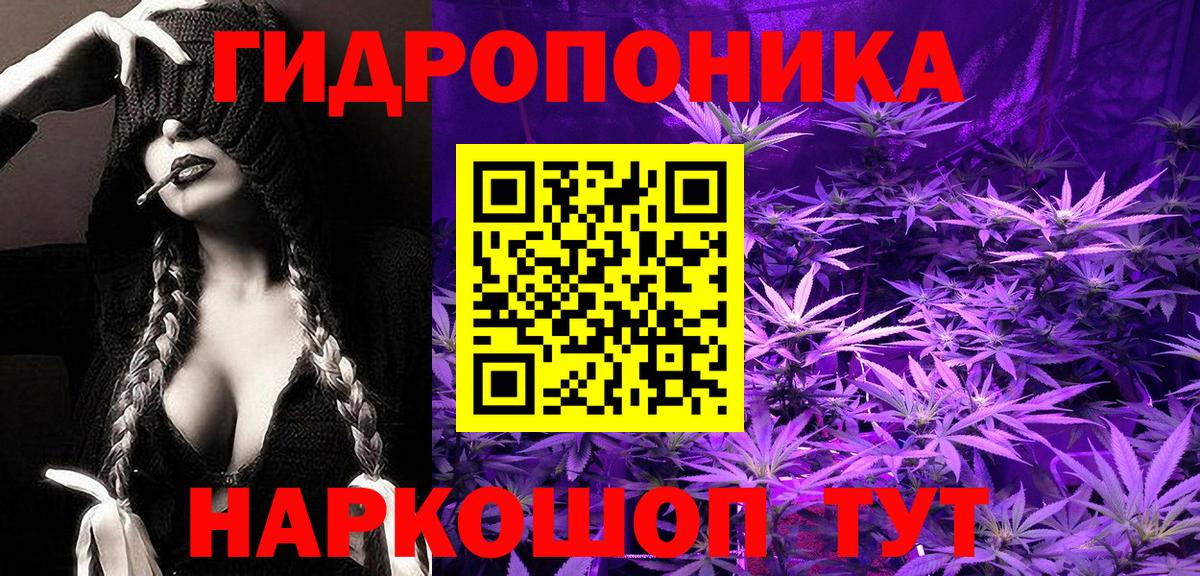Шишки марихуана планчик  Вход с VPN  Бошки Шишки Bruce Banner  Бошки Шишки план  Великие Луки 